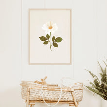  Cottage Rose Floral Print