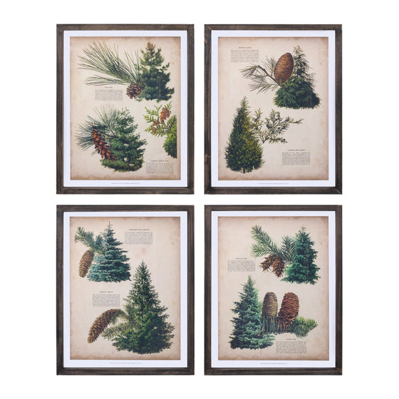 Pine Print Frame Set (Set of 4)