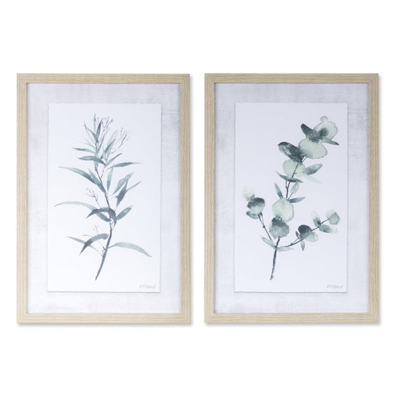 Eucalyptus Print (Set of 2)