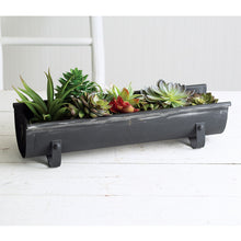  Chicken Feeder Planter - Black